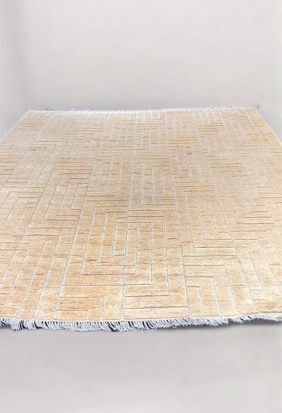 Zeva Hand Knotted Rug - Size: 8'6" x 10'