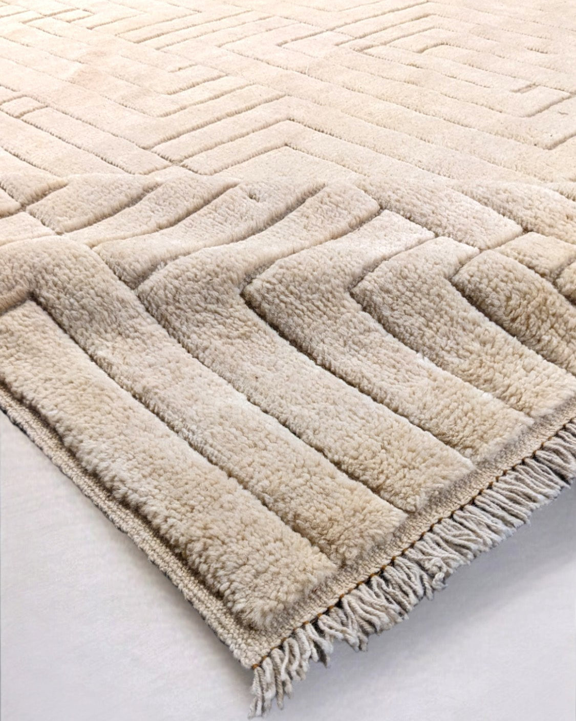 Zeva Hand Knotted Rug - Size: 8'6" x 10'