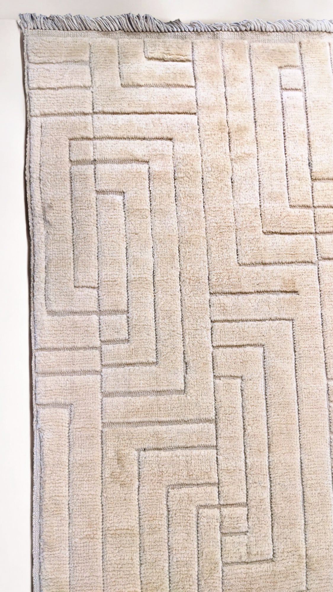 Zeva Hand Knotted Rug - Size: 8'6" x 10'